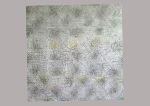 blei/buntstiftzeichnung auf 150x152cm, detail