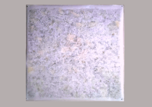 blei/buntstiftzeichnung auf 150x152cm